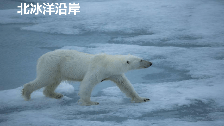 第六章 我们生活的大洲——亚洲 第二节自然环境（第2课时） 课件