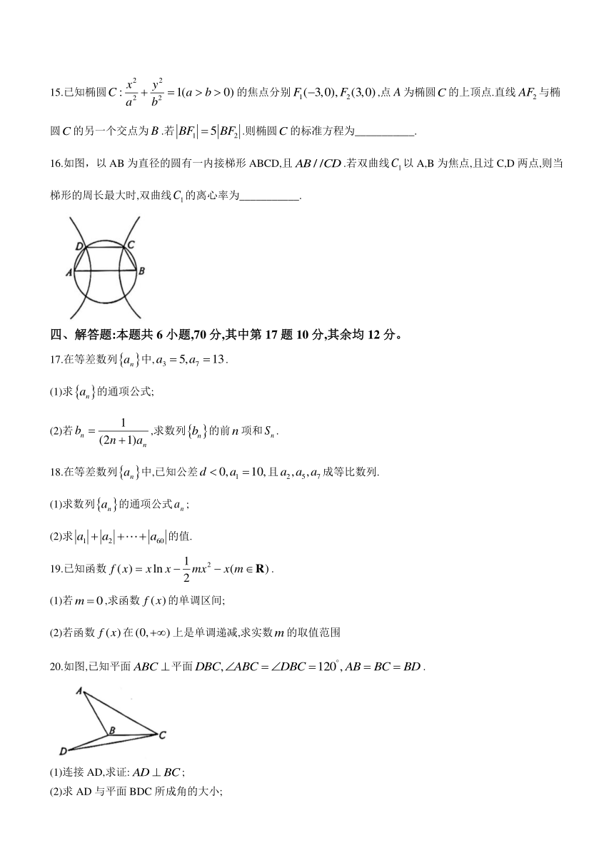 陕西省西安市阎良区教育局2023-2024学年高二上学期期末质量检测数学试卷（含解析）