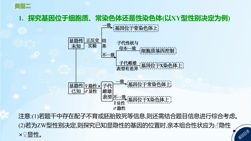 高考生物二轮复习微专题3　遗传实验分析与设计(共51张PPT)