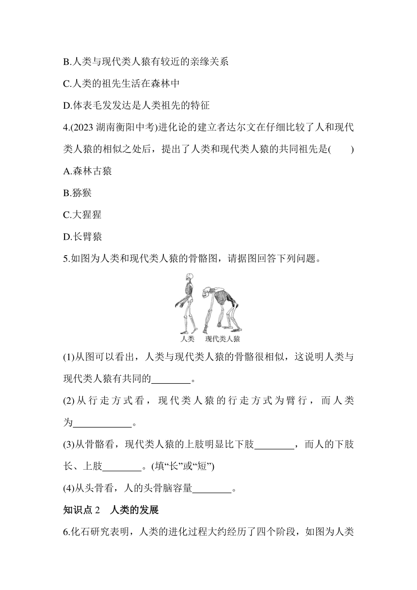 冀少版八年级下册生物6.3.3  人类的起源素养提升练习（含解析）