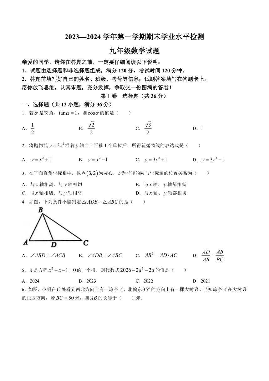 山东省聊城市冠县2023-2024学年九年级上学期期末数学试题（含答案）