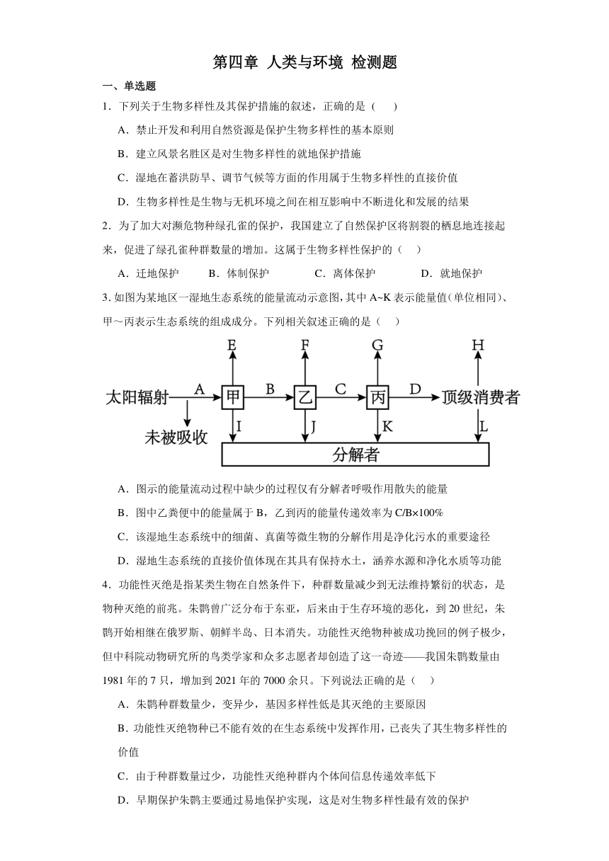 第四章 人类与环境 检测题-2023-2024学年高中生物学浙科版（2019）选择性必修2（解析版）