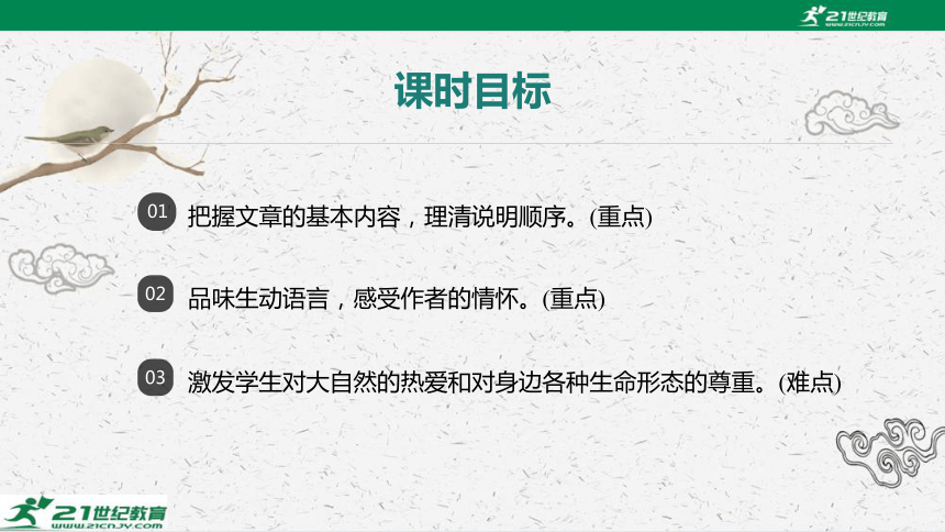 第7课 大雁归来课件 2023—2024学年统编版语文八年级下册