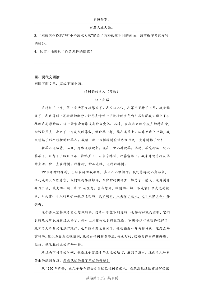 2024年中考语文七年级上册一轮复习试题（十一）（含答案）