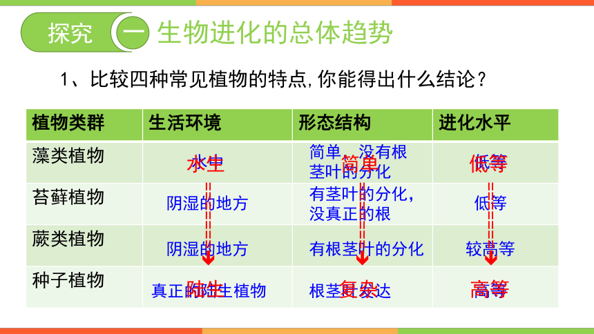 5.1.3生物进化的历程课件(共21张PPT）-2023-2024学年济南版生物八年级下册