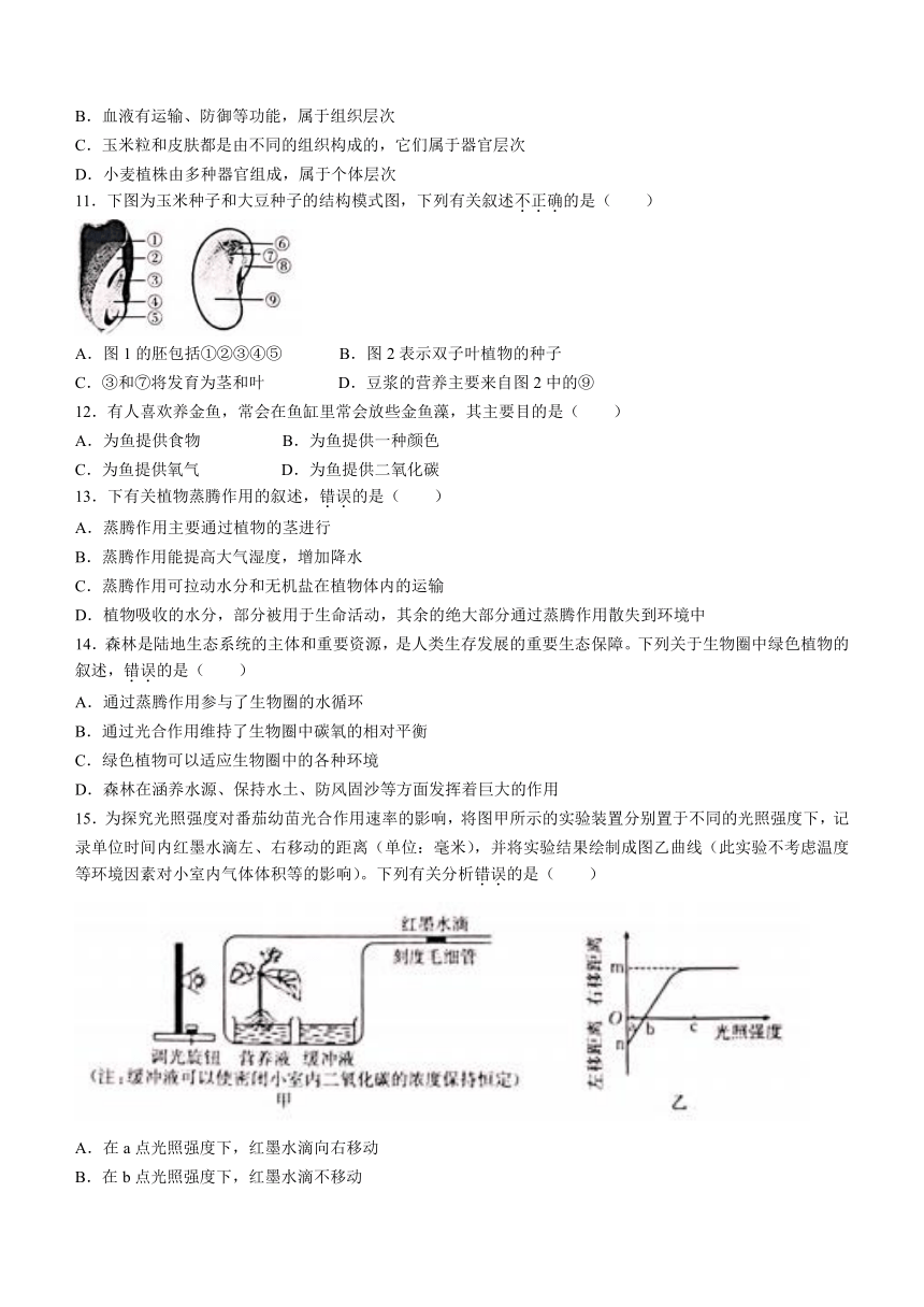 山西省长治市2023-2024学年七年级上学期期末生物试题（含答案）