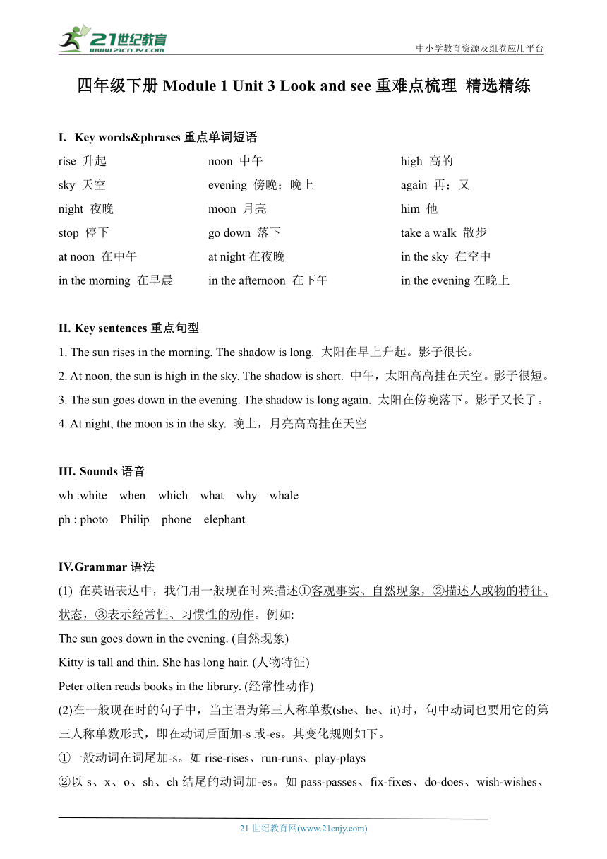 Module 1 Unit 3 Look and see重难点梳理精选精练（含答案）