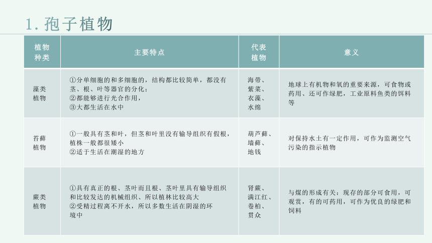 第三单元  生物圈中的绿色植物（一）课件(共40张PPT)2023-2024学年人教版生物七年级上册