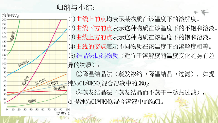 第九单元课题2课时2 溶解度课件-2023-2024学年九年级化学人教版下册