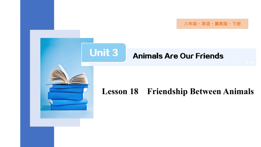 Unit 3 Lesson 18 Friendship Between Animals  课件 (共23张PPT) 2023-2024学年初中英语冀教版八年级下册