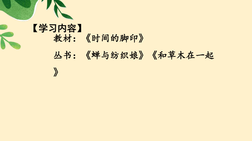 8《时间的脚印》课件(共34张PPT)