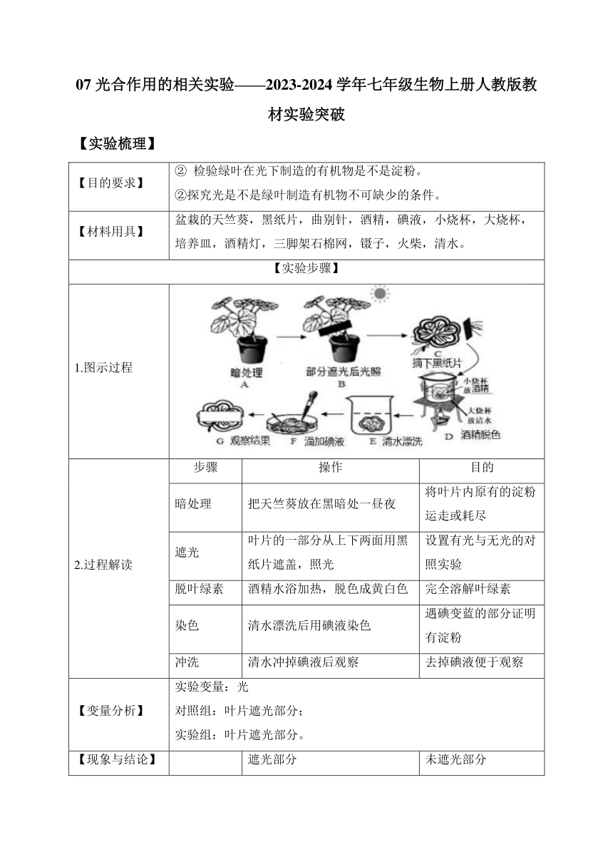 07 光合作用的相关实验——2023-2024学年七年级生物上册人教版教材实验突破（表格式含解析）