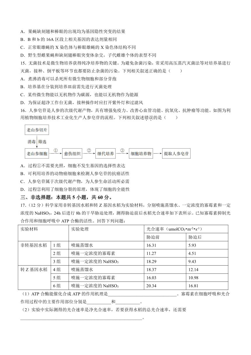 江西省宜春市2023-2024学年高三上学期1月质量检测生物学试题（含答案）