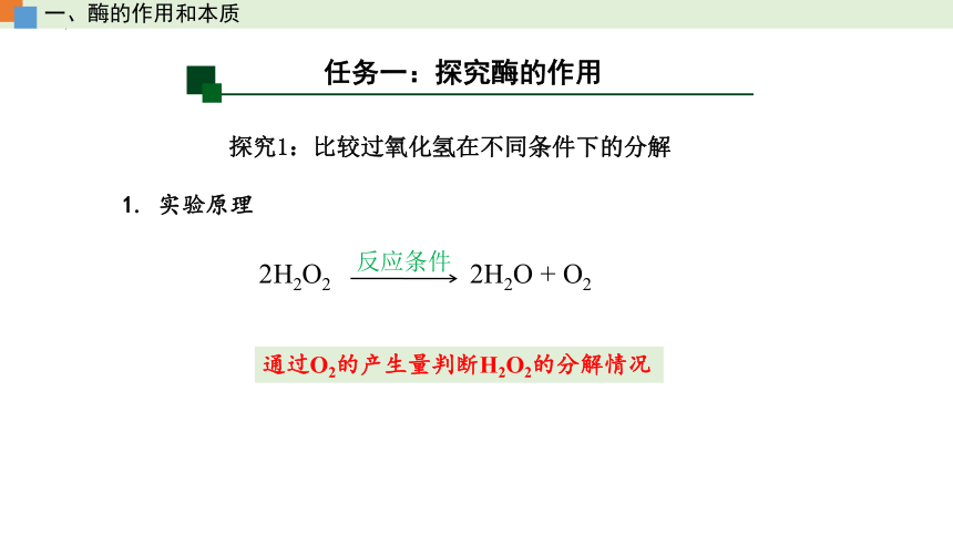 5.1 降低化学反应活化能的酶（课件）（共55张PPT2个视频）-人教版2019必修1