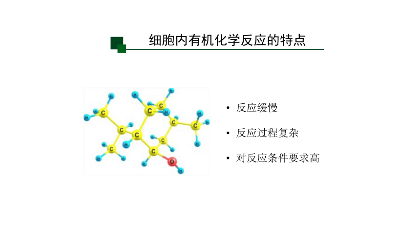 5.1 降低化学反应活化能的酶（课件）（共55张PPT2个视频）-人教版2019必修1