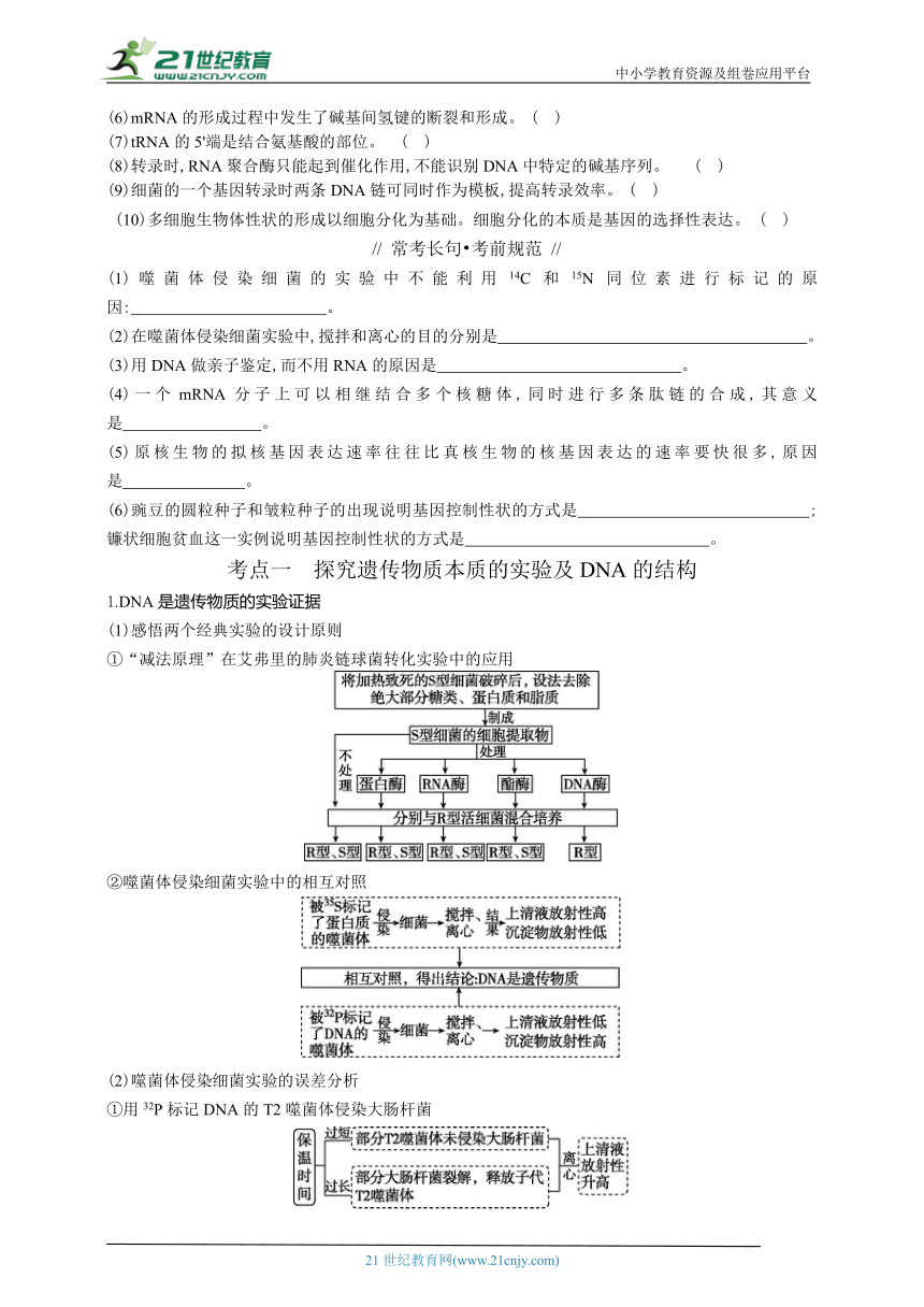 高考生物二轮复习专题学案：6基因的本质与表达（含解析）