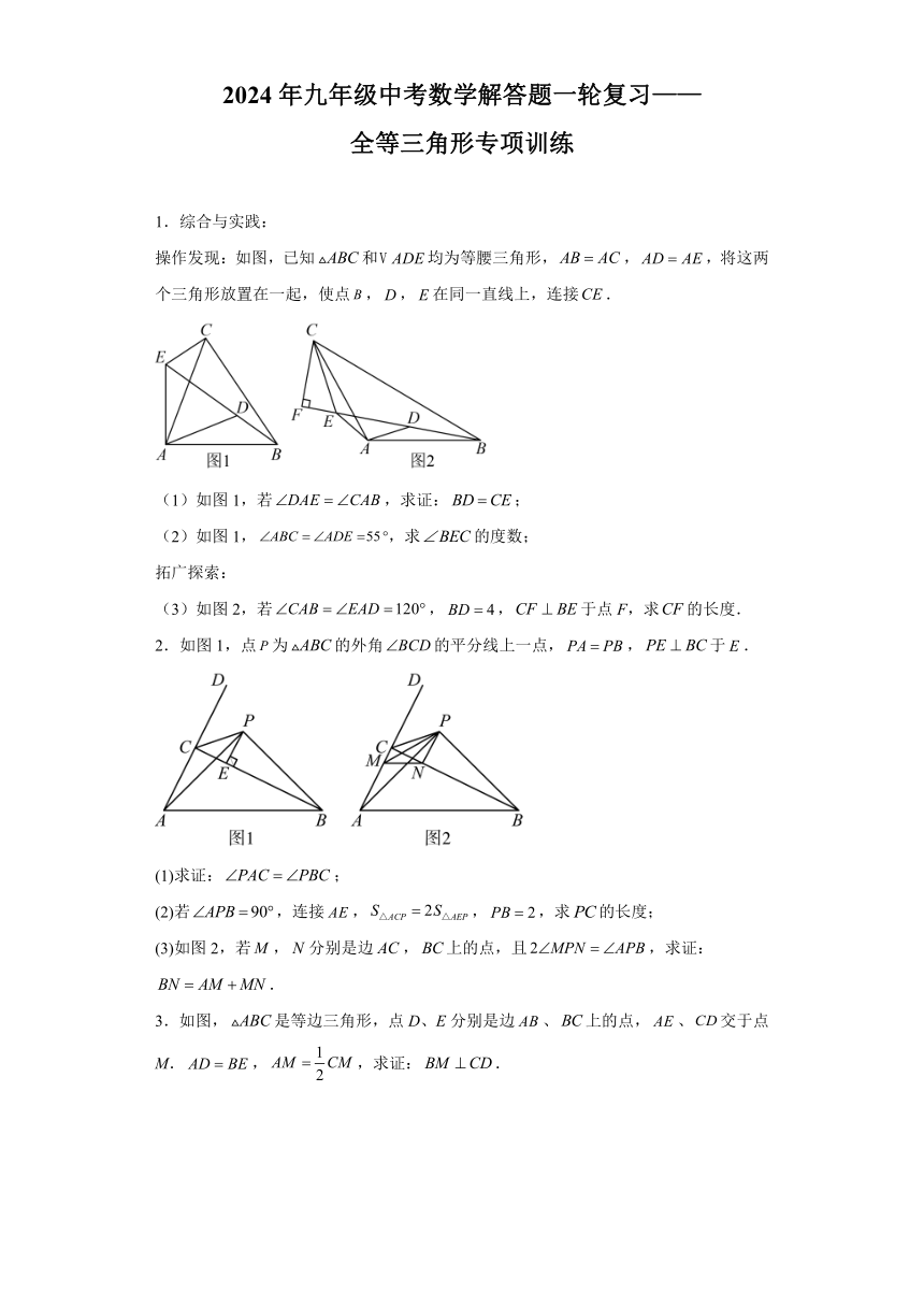 2024年九年级中考数学解答题 复习——全等三角形专项训练(含答案解析)