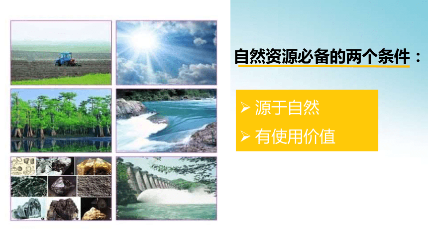 3.1 自然资源概况湘教版八年级上册地理同步课件(共31张PPT)