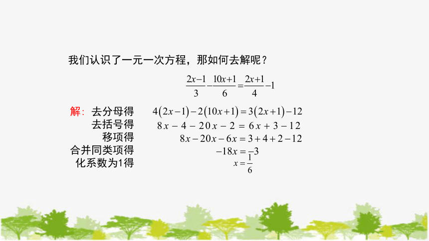 华师大版数学七年级下册 6.2.2 解一元一次方程课件  12张PPT