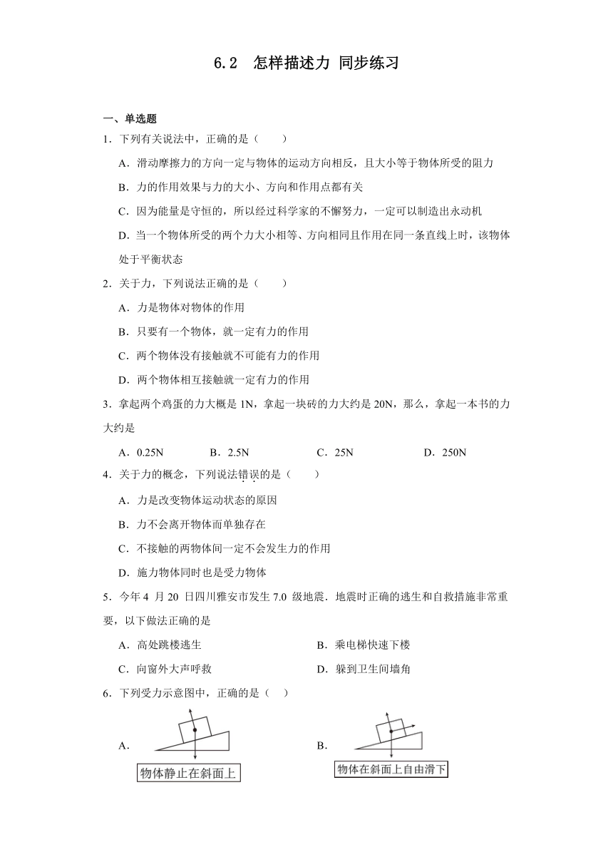 6.2怎样描述力同步练习--2023-2024学年沪科版物理八年级上册（文字版含答案）