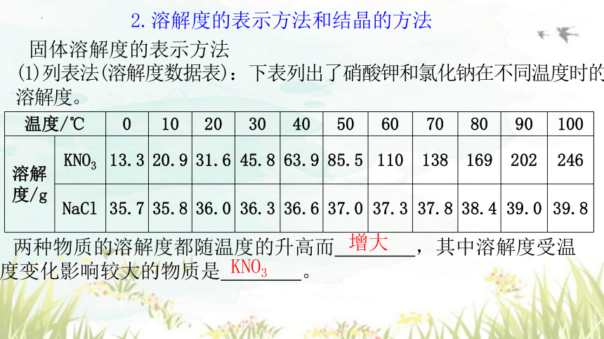 第九单元课题2课时2 溶解度课件-2023-2024学年九年级化学人教版下册