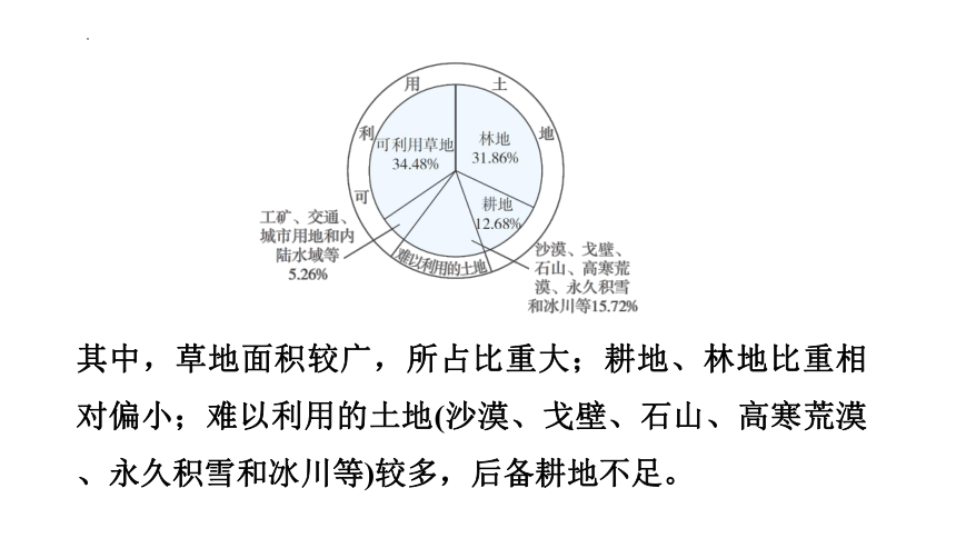 2024年中考地理复习课件( 49张PPT)  第19课时　中国的自然资源