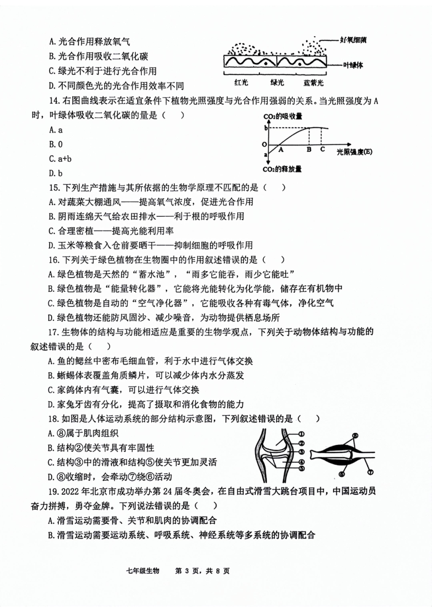 山东省滨州市滨城区2023-2024学年七年级上学期期末考试生物试题（PDF版  含答案）