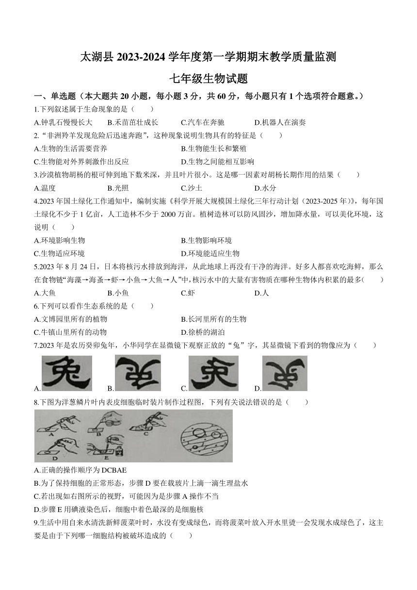 安徽省安庆市太湖县2023-2024学年七年级上学期期末教学质量监测生物试题（含答案）