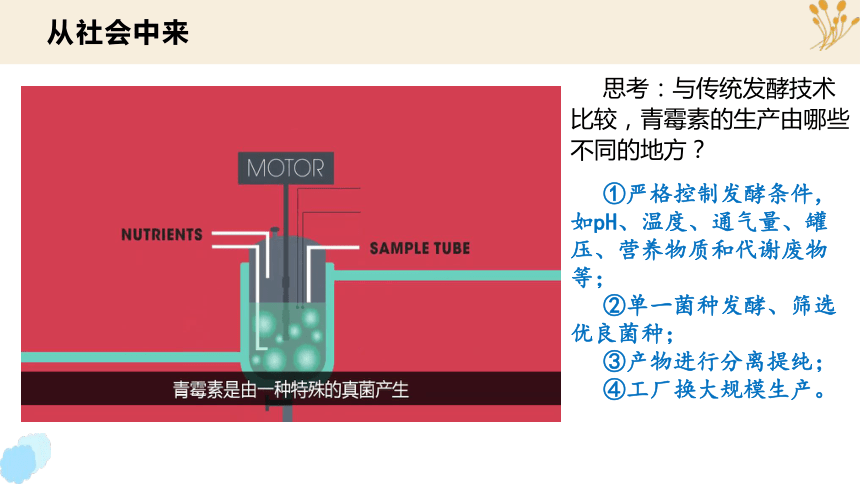 1.3 发酵工程及其应用(共28张PPT)