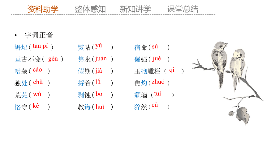 15 《我与地坛（节选）》课件（共23张PPT） 2023-2024学年高一语文部编版必修上册