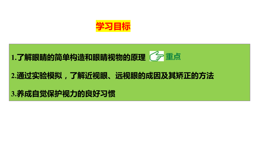 4.6神奇的眼睛第1课时眼睛和眼镜课件(共35张PPT)2023-2024学年度沪科版物理八年级全一册