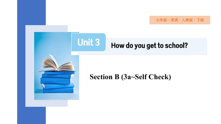 Unit 3 How do you get to school? Section B (3a~Self Check)课件(共26张PPT ...