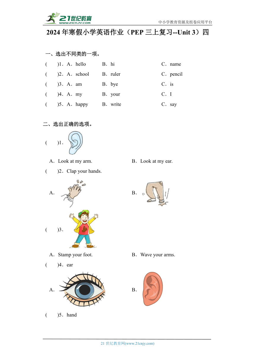 2024小学英语寒假作业 人教版(PEP)小学英语三年级上册复习--Unit3 （含答案）