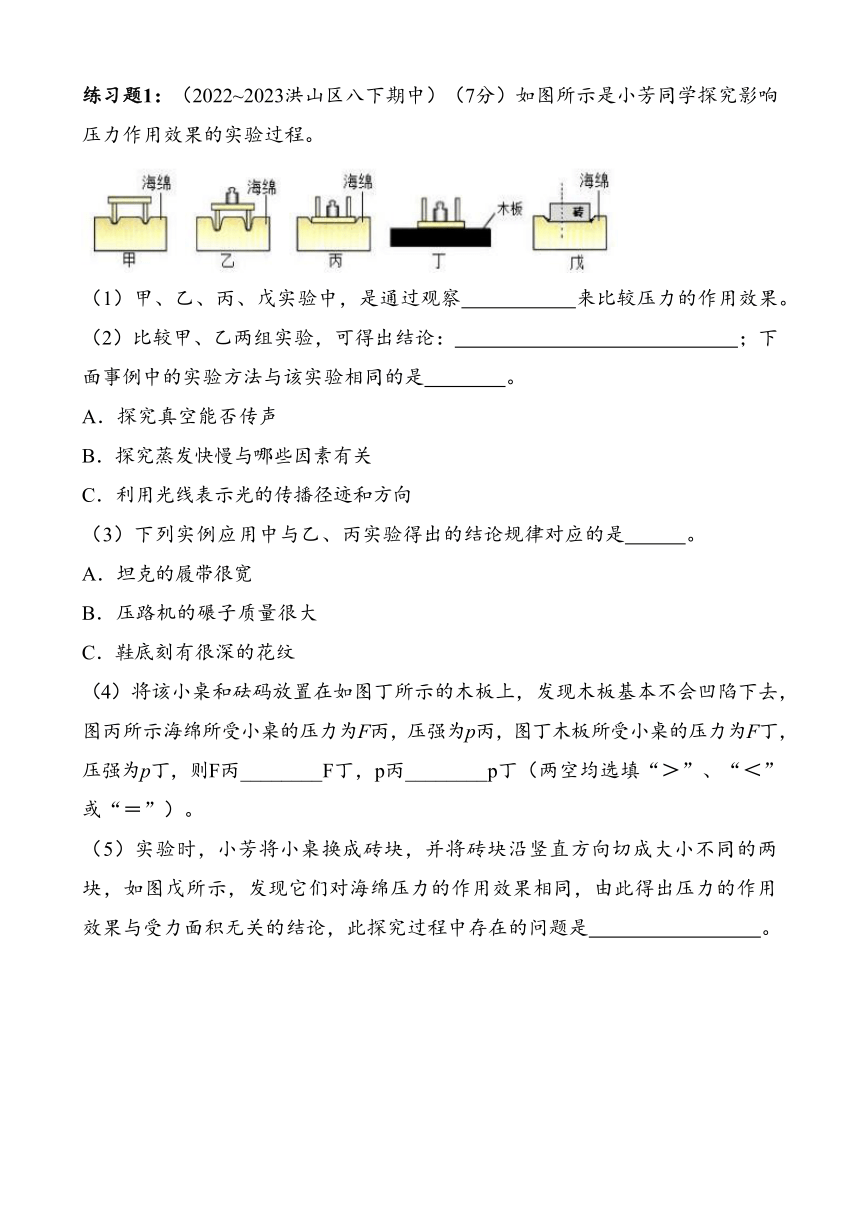 湖北省武汉市洪山区2023~2024学年八年级下册期中复习试卷——压强实验（含答案）