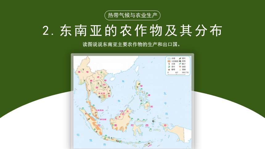 《东南亚》同步课件-第七章第二节