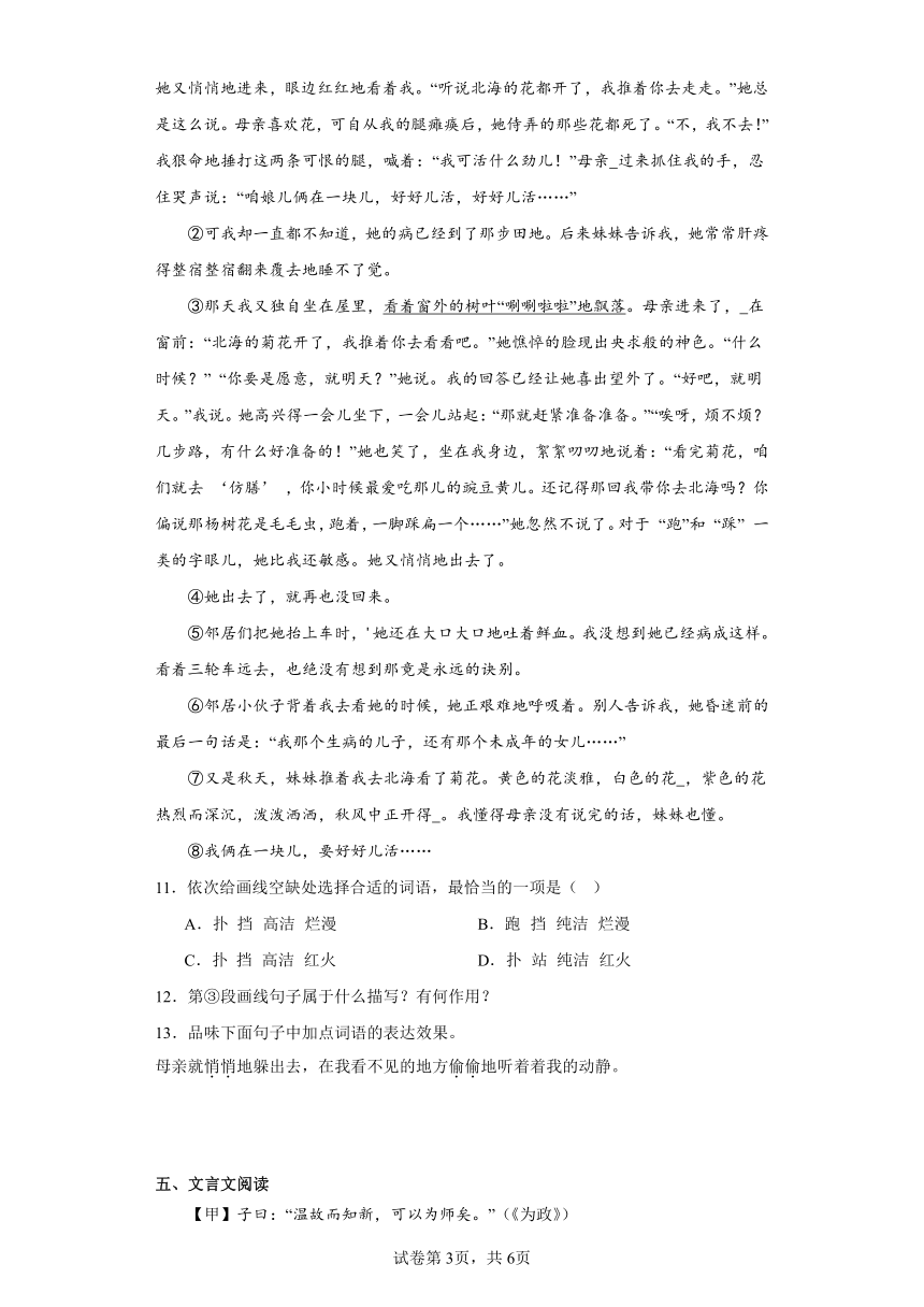 2024年中考语文七年级上册一轮复习试题（三）（含答案）