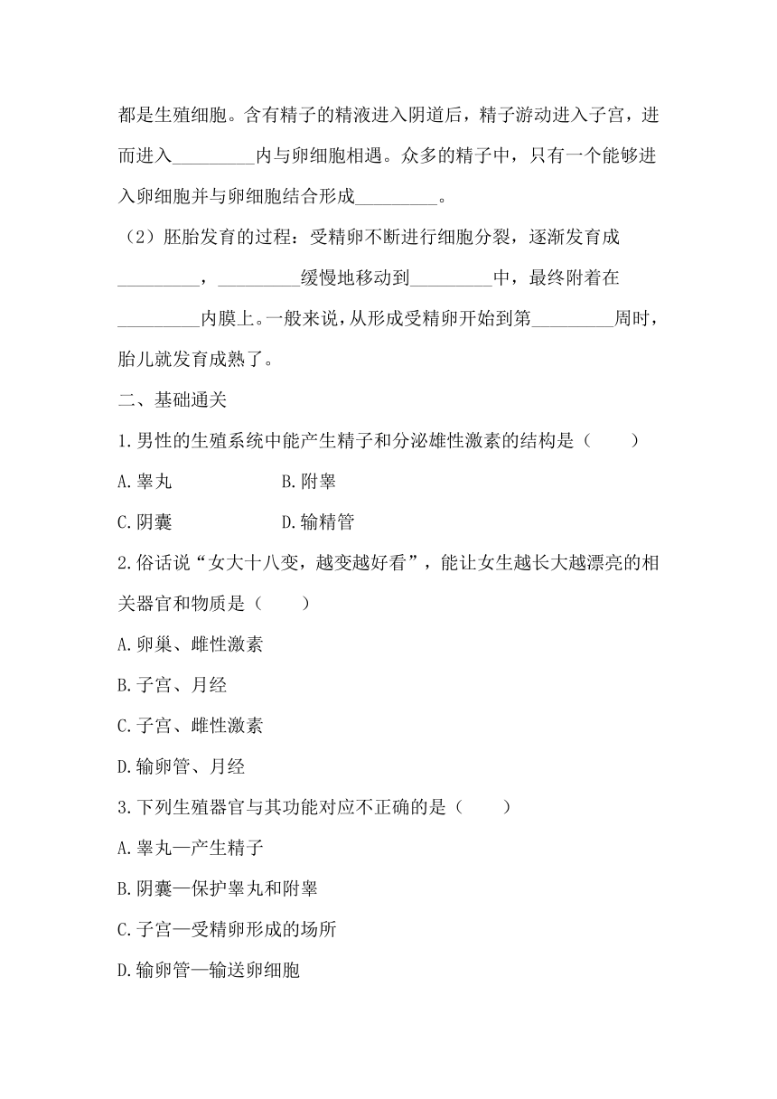 4.1.2人的生殖 同步练习（含答案）人教版生物七年级下册