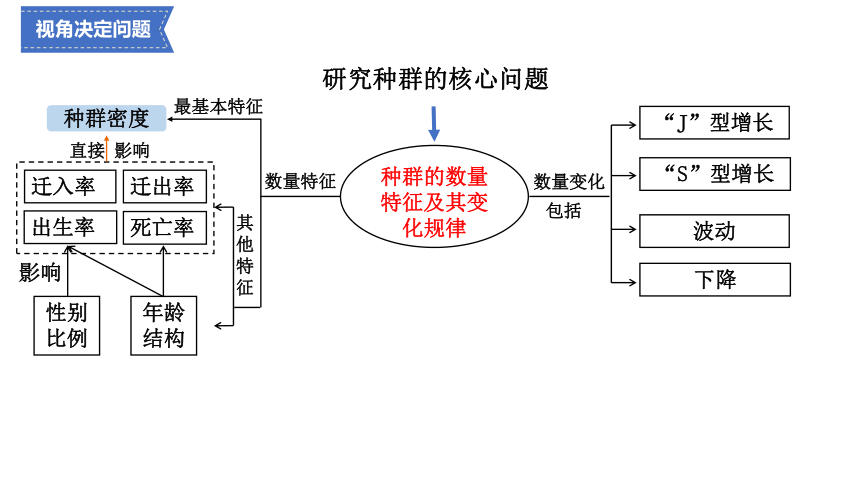 2.1群落的结构课件（共37张PPT） 人教版选择性必修2