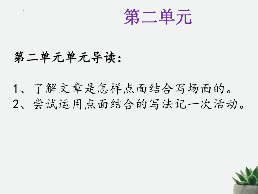 语文六年级上册期末重要知识点梳理课件(共47张PPT)