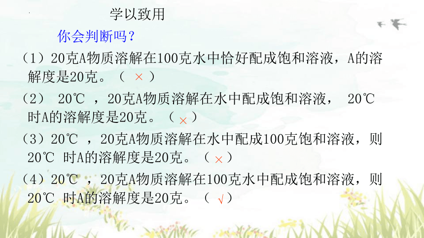 第九单元课题2课时2 溶解度课件-2023-2024学年九年级化学人教版下册