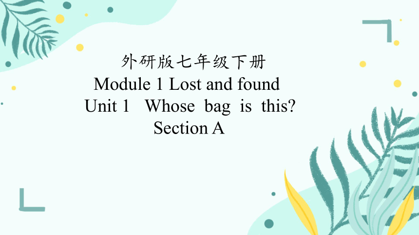 Module 1 Unit 1 Whose bag is this?课件