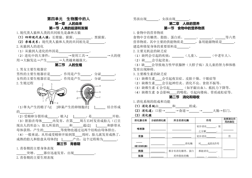 知识点默写（文字素材 无答案）-2023-2024学年人教版生物七年级下册