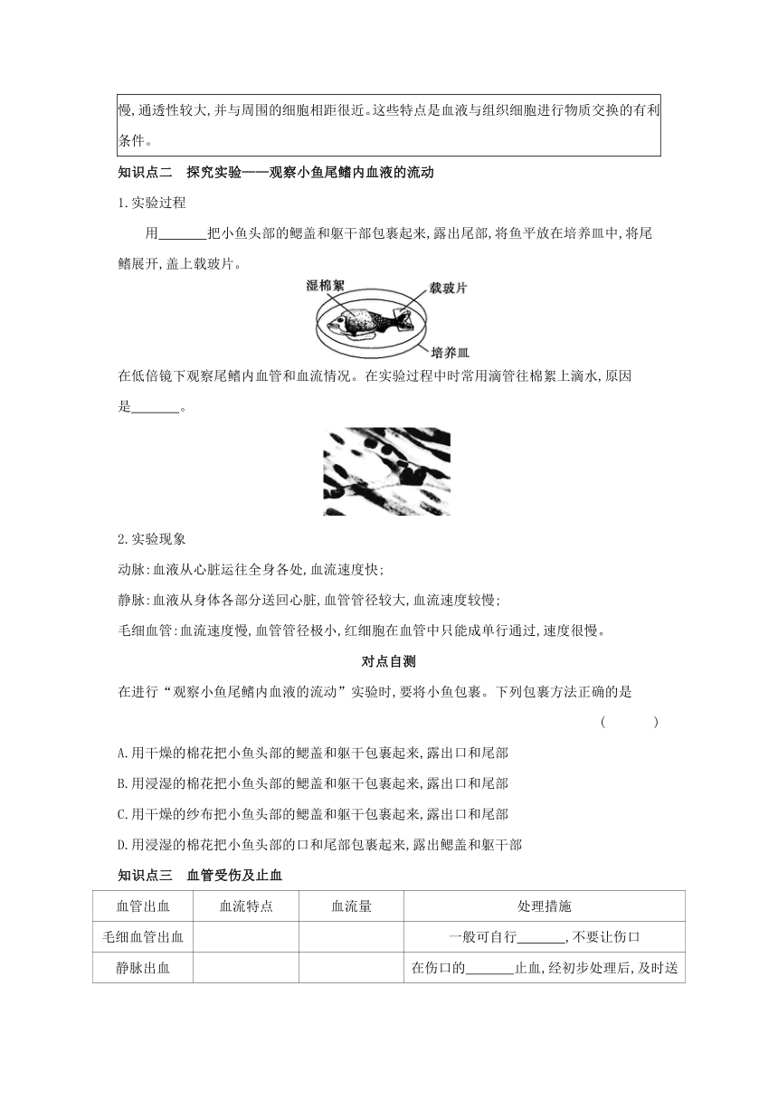 2.2.2  运输物质的器官(一、血管）学习任务单（含答案）2023-2024学年冀少版生物七年级下册