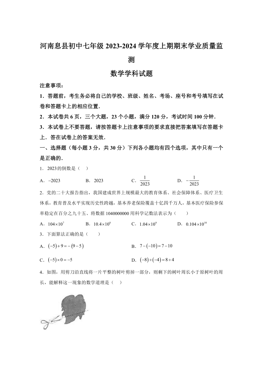 河南省信阳市息县2023-2024学年七年级上学期期末数学试题(含解析)