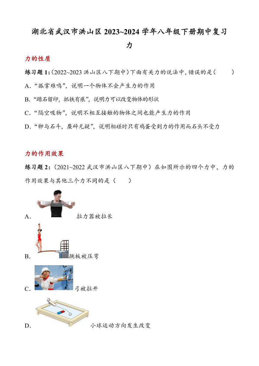 湖北省武汉市洪山区2023~2024学年八年级下册期中复习试卷——力（含答案）