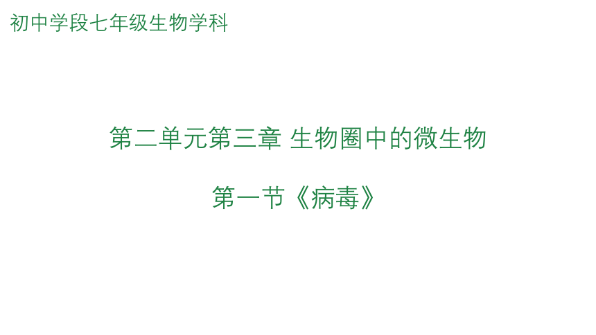 2.3.1病毒课件(共20张PPT)2023--2024学年济南版生物七年级上册