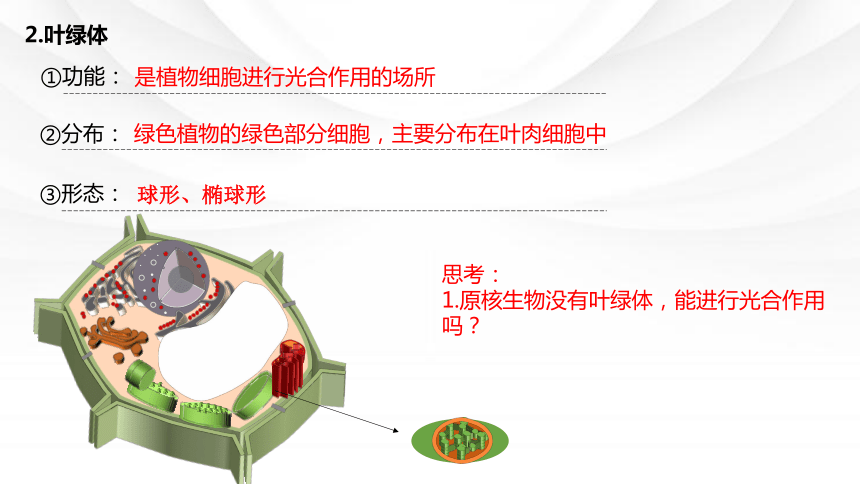 3.2细胞器之间的分工合作课件（共36张PPT） 人教版必修1