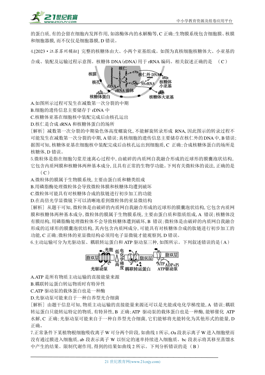 高考生物二轮复习小专题训练：1　细胞的分子组成与结构、物质运输（解析版）