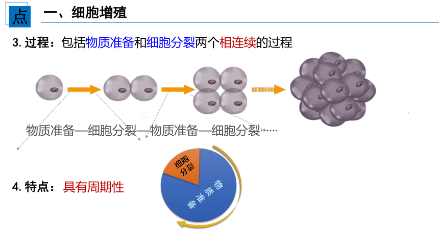 6.1细胞的增殖的课件(共42张PPT) 人教版（2019）必修1分子与细胞
