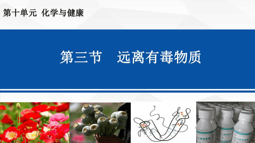 10.3 远离有毒物质课件(共25张PPT)-2023-2024学年鲁教版化学九年级下册